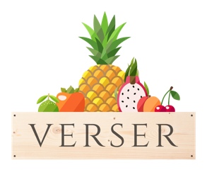 verser_logo_png.png